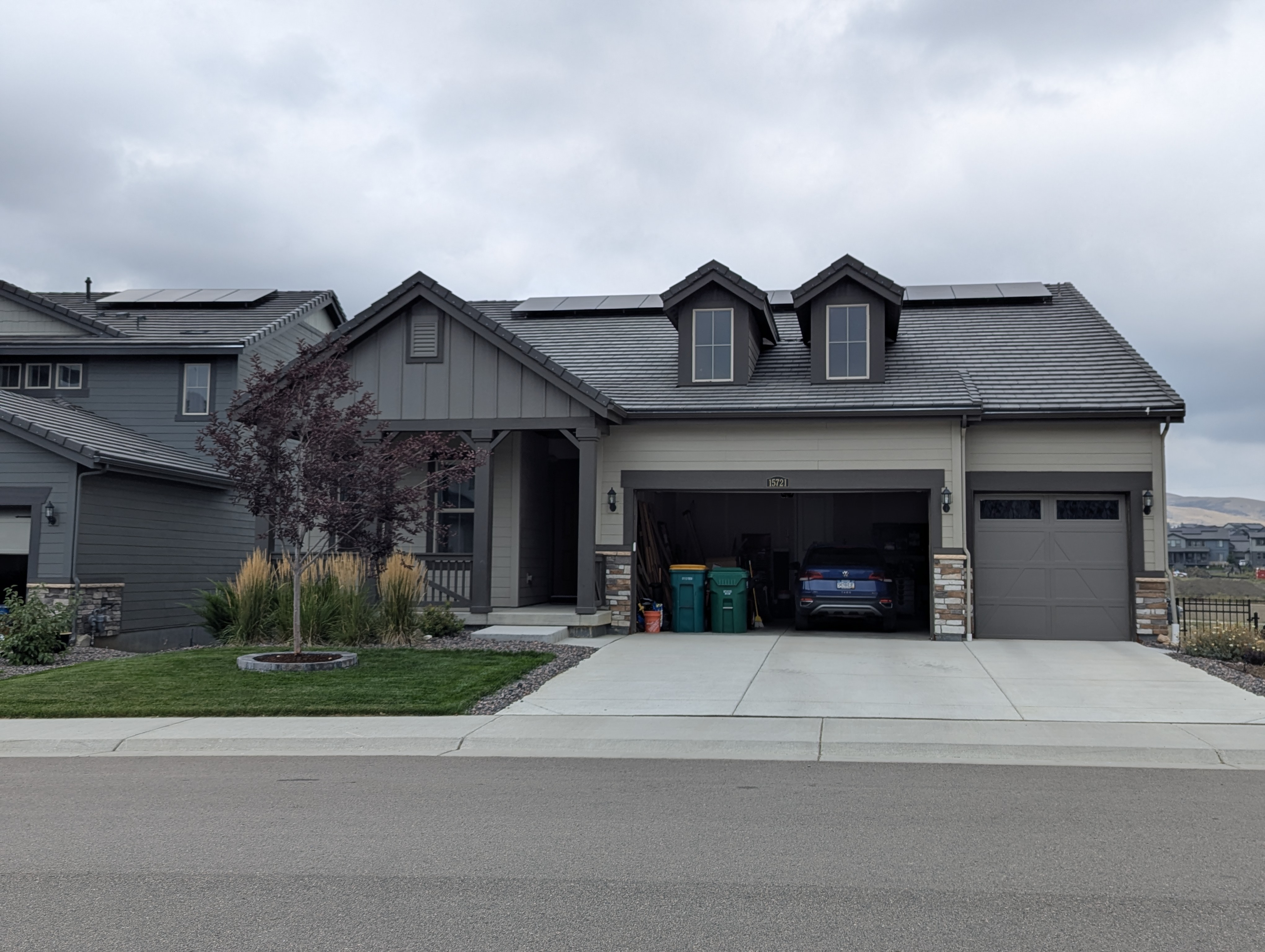 Tree Ring, Home Improvement, Morrison, Colorado